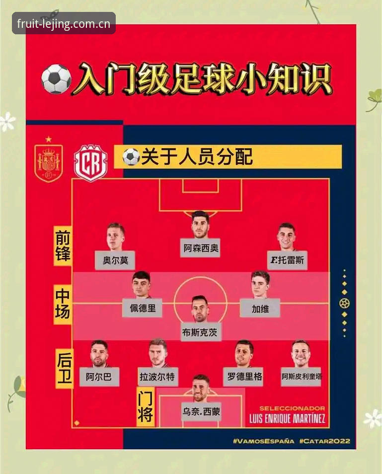 意足协新掌门上任，从马拉戈当选看懂意大利足球的底层逻辑操作教程